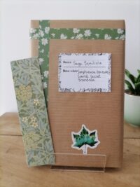 Roman Saga familiale (Somptueuse demeure / Lourd secret / Scandale)