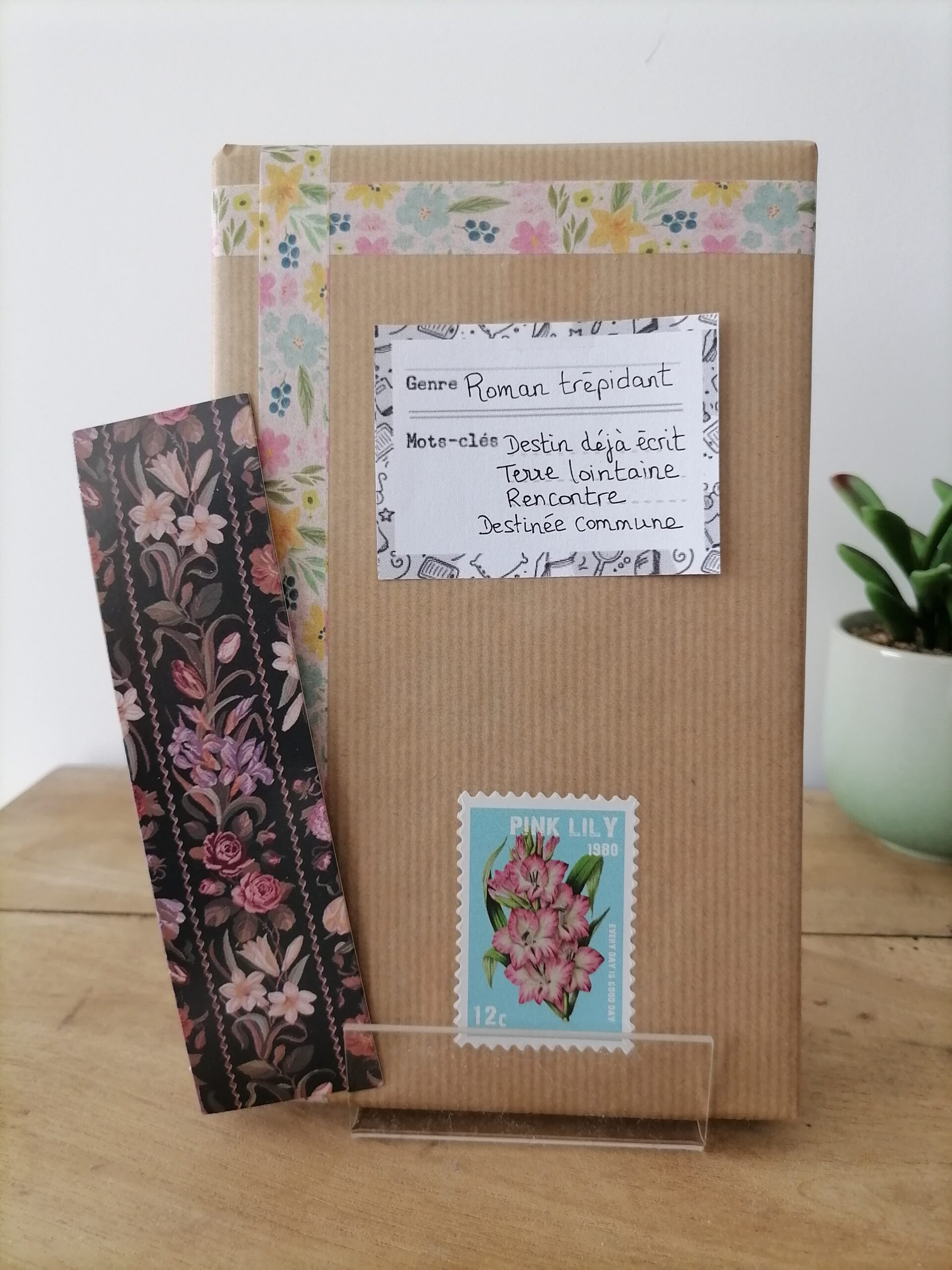 Roman trépidant (Destin déjà écrit / Terre lointaine / Rencontre / Destinée commune)