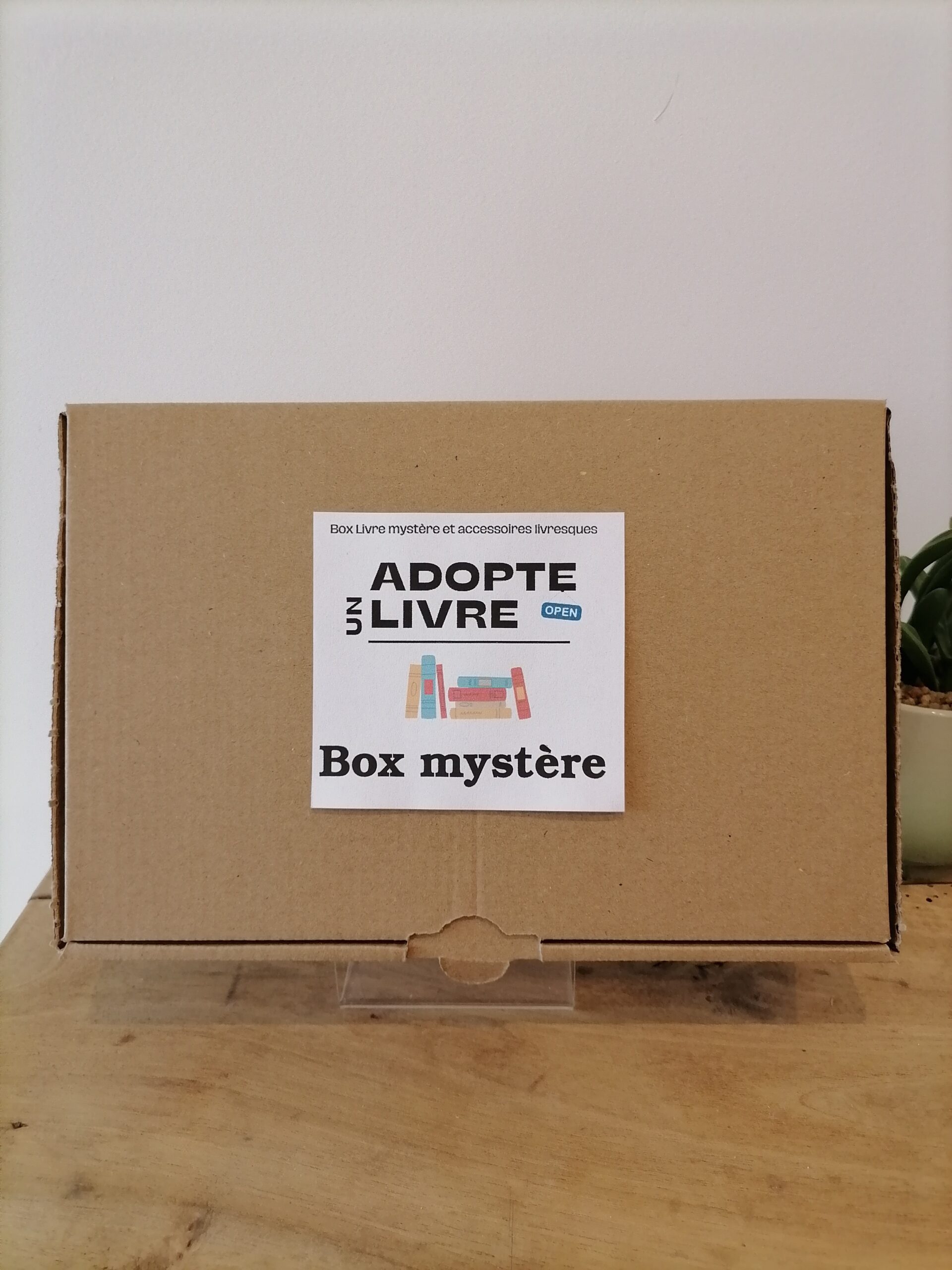 Thriller (Chambre d'à côté / Secrets de famille / Suspense haletant) – Image 2