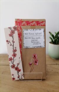 Livre mystère poche