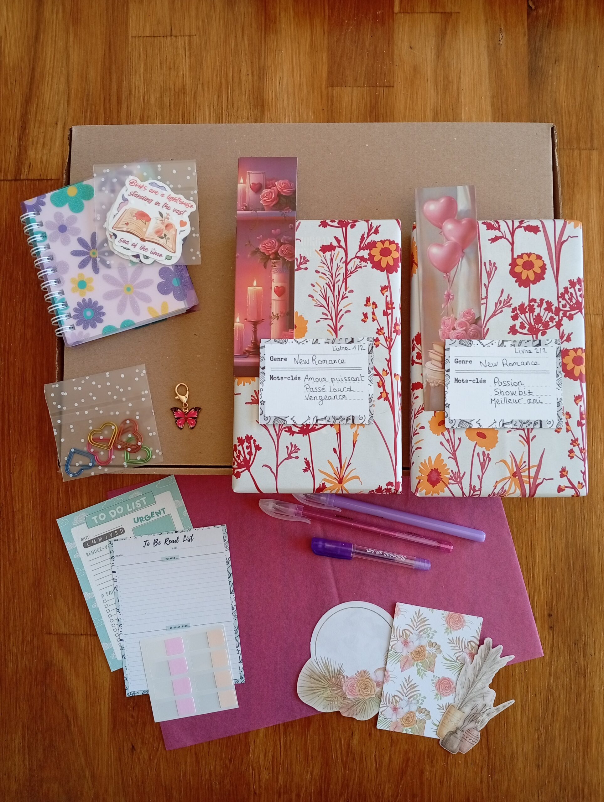 Duologie New Romance (Amour puissant / Passé lourd / Vengeance)