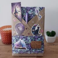 Roman (12-16 ans) (Fantasy / Passage magique / Héritage légendaire)