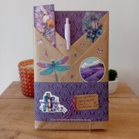 Roman épistolaire (+15 ans) (Quête d'identité / Deuil / Adolescence)