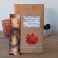 Roman médiéval (Mystique / Héroïne symbolique / Sensuel & Cruel)