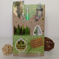 Roman ( Retour aux sources / Nature sauvage / Secrets familiaux )