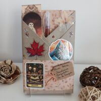 Roman Policier ( Scandinave / Manipulation / Jeu de traque )